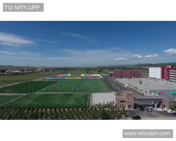 足球场小球星标识图解说解析青少年足球发展与训练核心要素 足球场小球星标识图解说解析青少年足球发展与训练核心要素