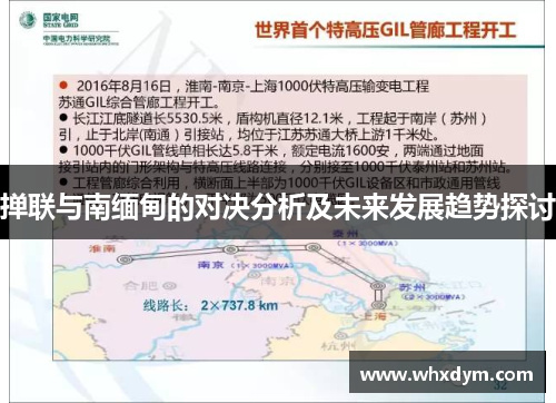 掸联与南缅甸的对决分析及未来发展趋势探讨